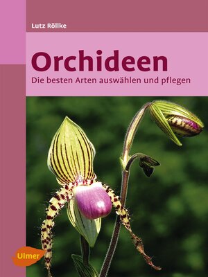 cover image of Orchideen